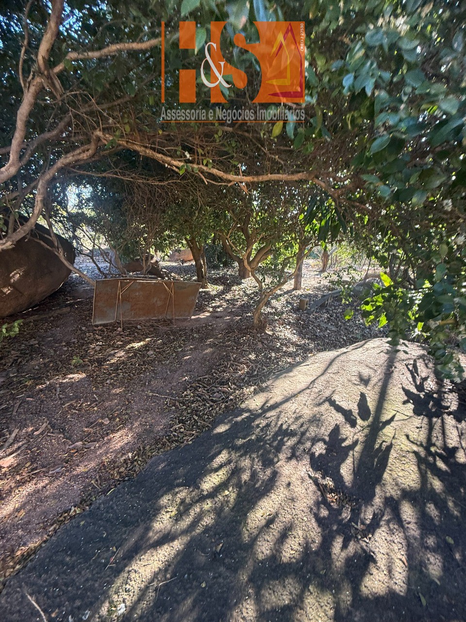 Sítio, 5 quartos, 2 hectares - Foto 138