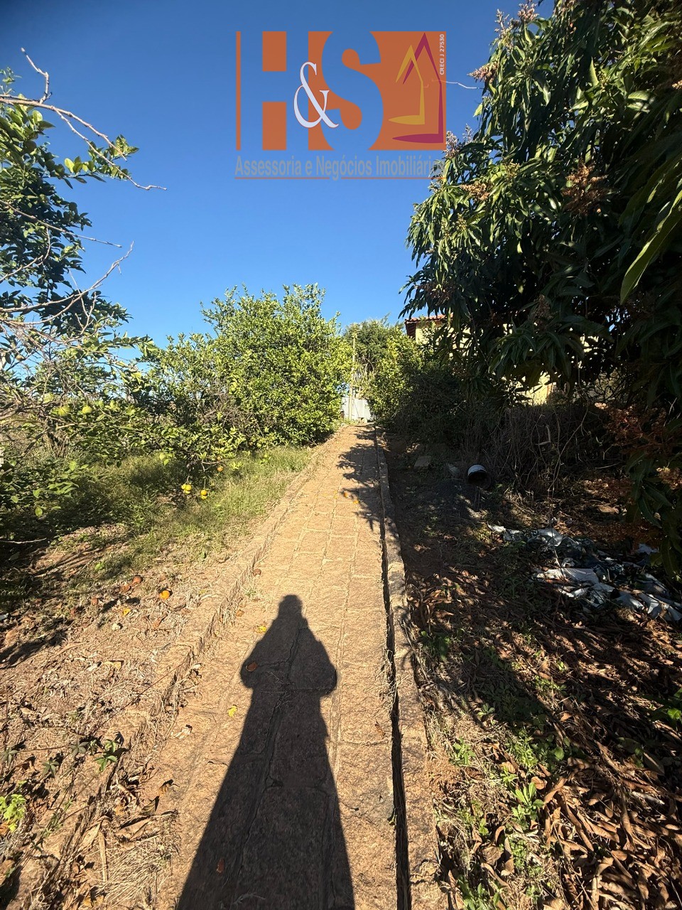 Sítio, 5 quartos, 2 hectares - Foto 187