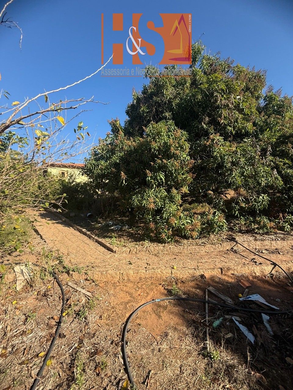 Sítio, 5 quartos, 2 hectares - Foto 192