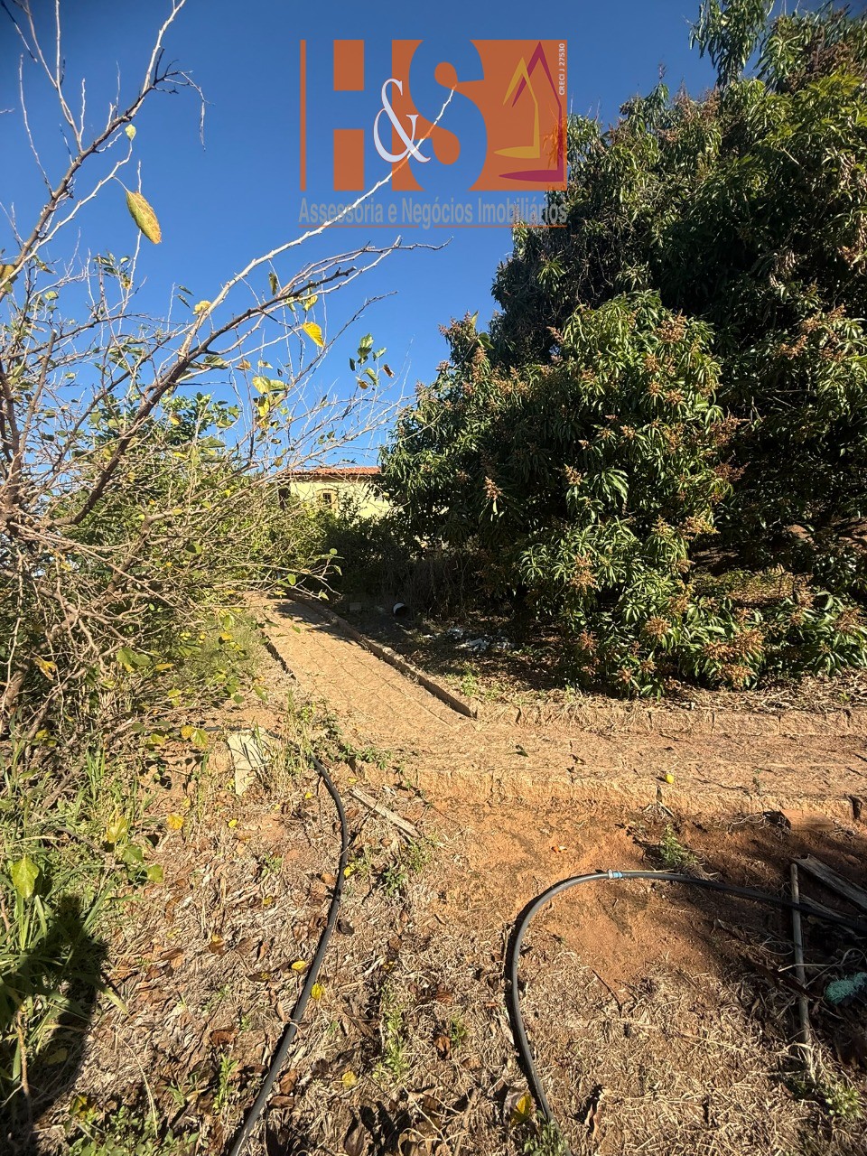 Sítio, 5 quartos, 2 hectares - Foto 193