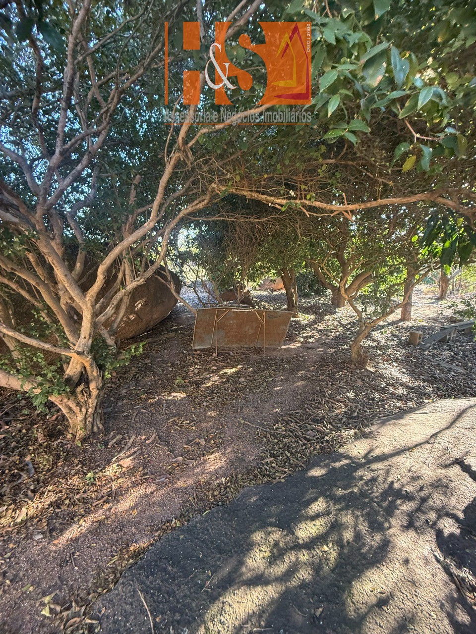 Sítio, 5 quartos, 2 hectares - Foto 137