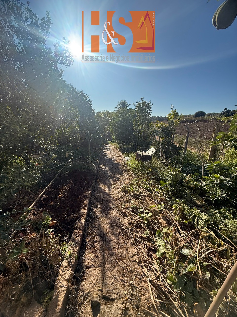 Sítio, 5 quartos, 2 hectares - Foto 171