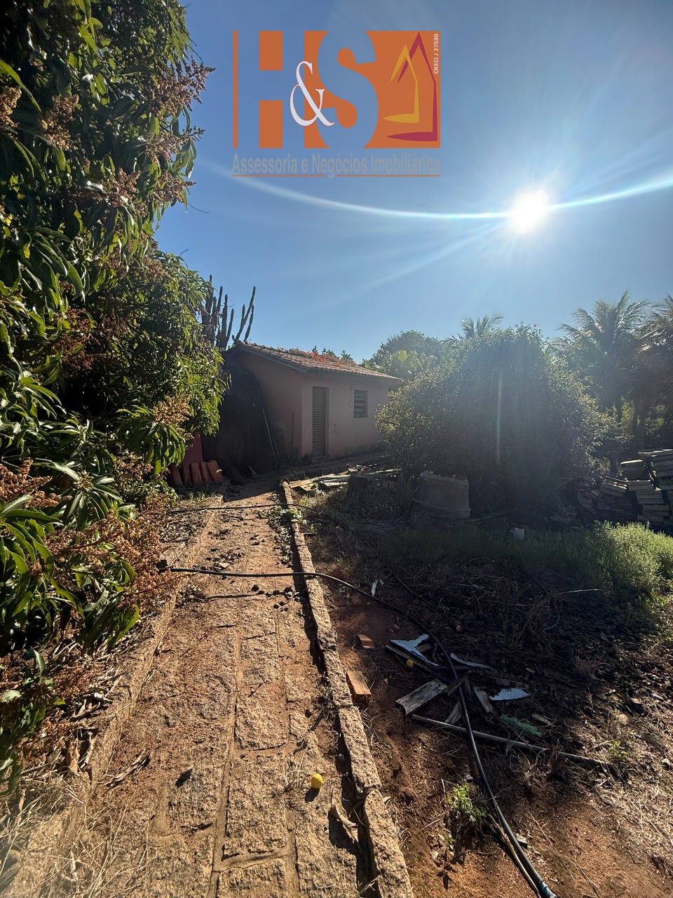 Sítio, 5 quartos, 2 hectares - Foto 181