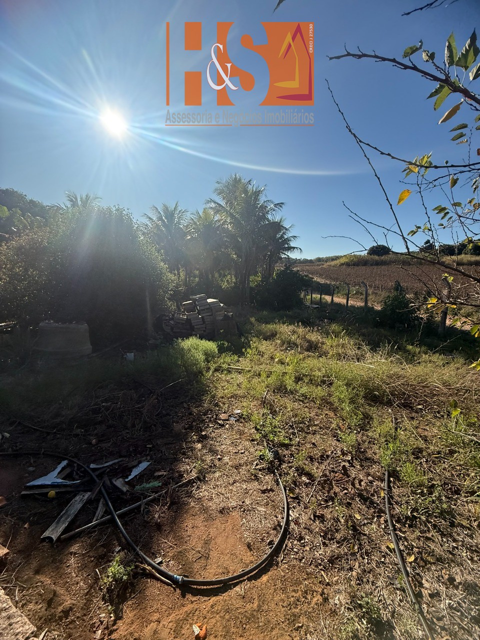 Sítio, 5 quartos, 2 hectares - Foto 183