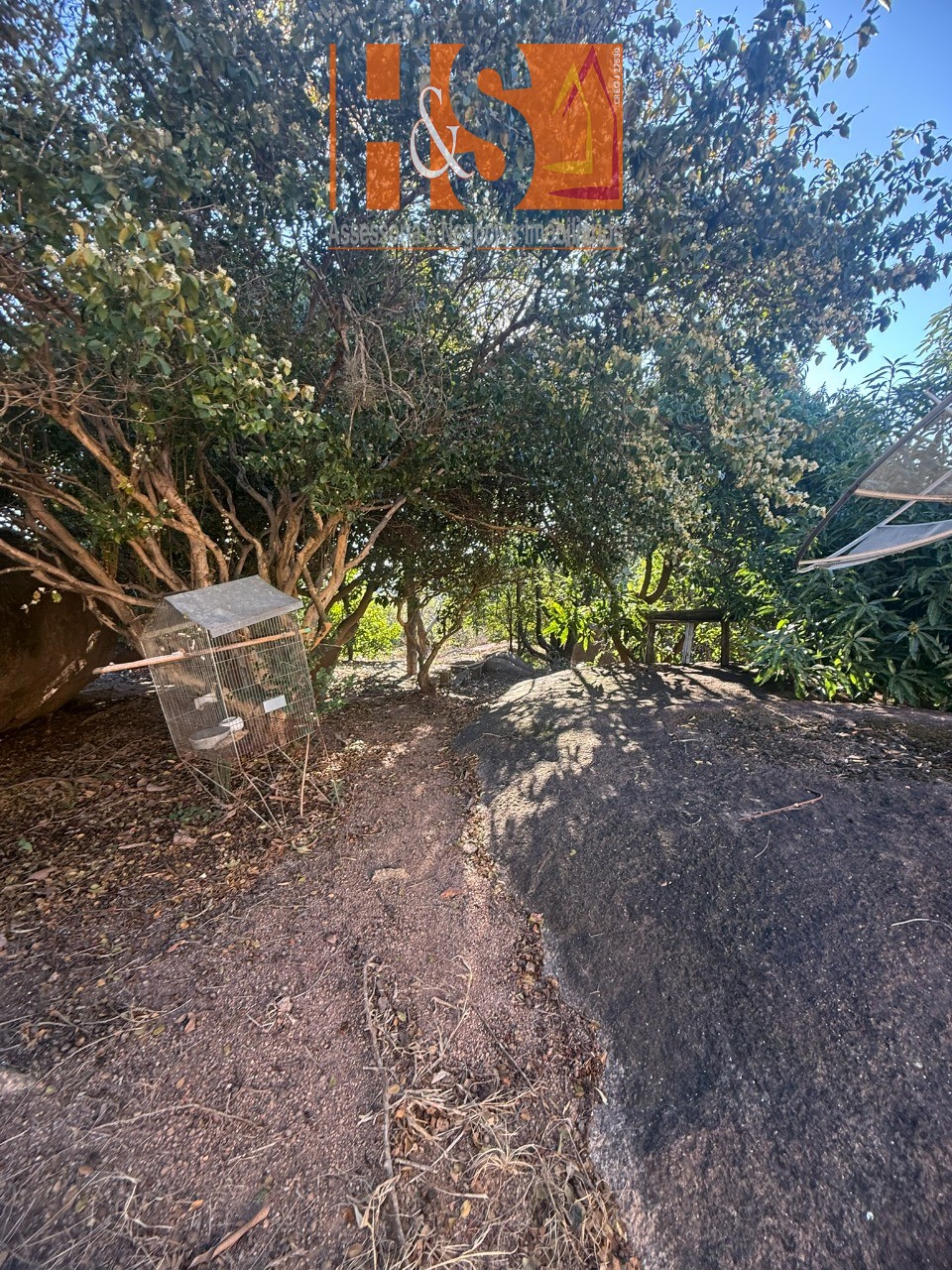 Sítio, 5 quartos, 2 hectares - Foto 135