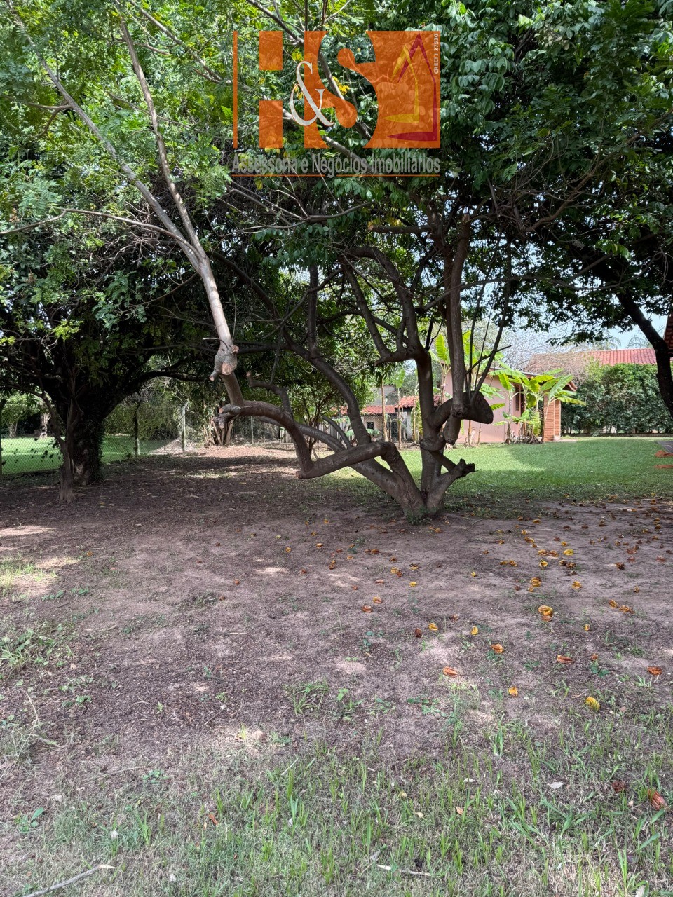 Chácara à venda com 1 quarto, 2492m² - Foto 31