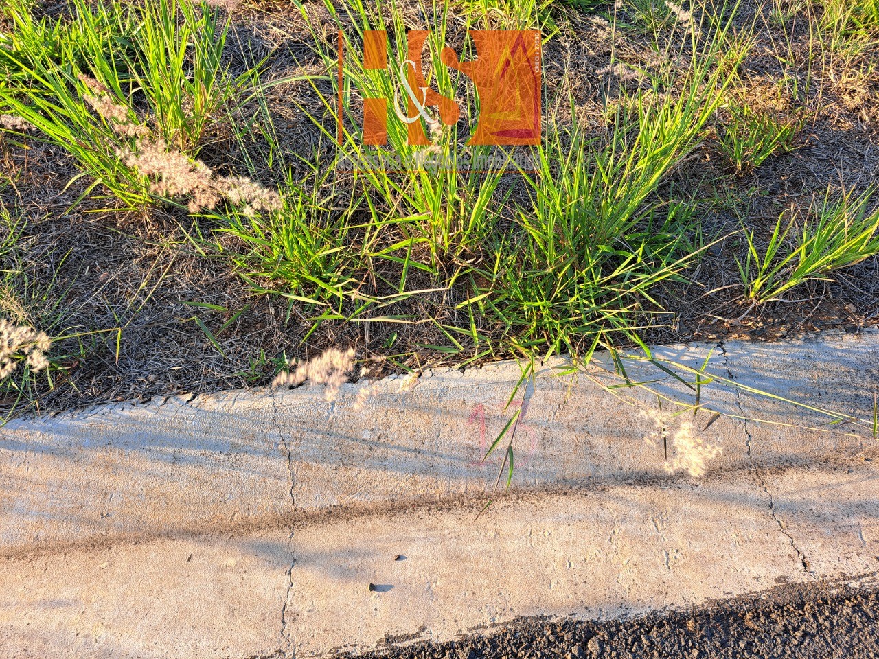 Terreno, 250 m² - Foto 5