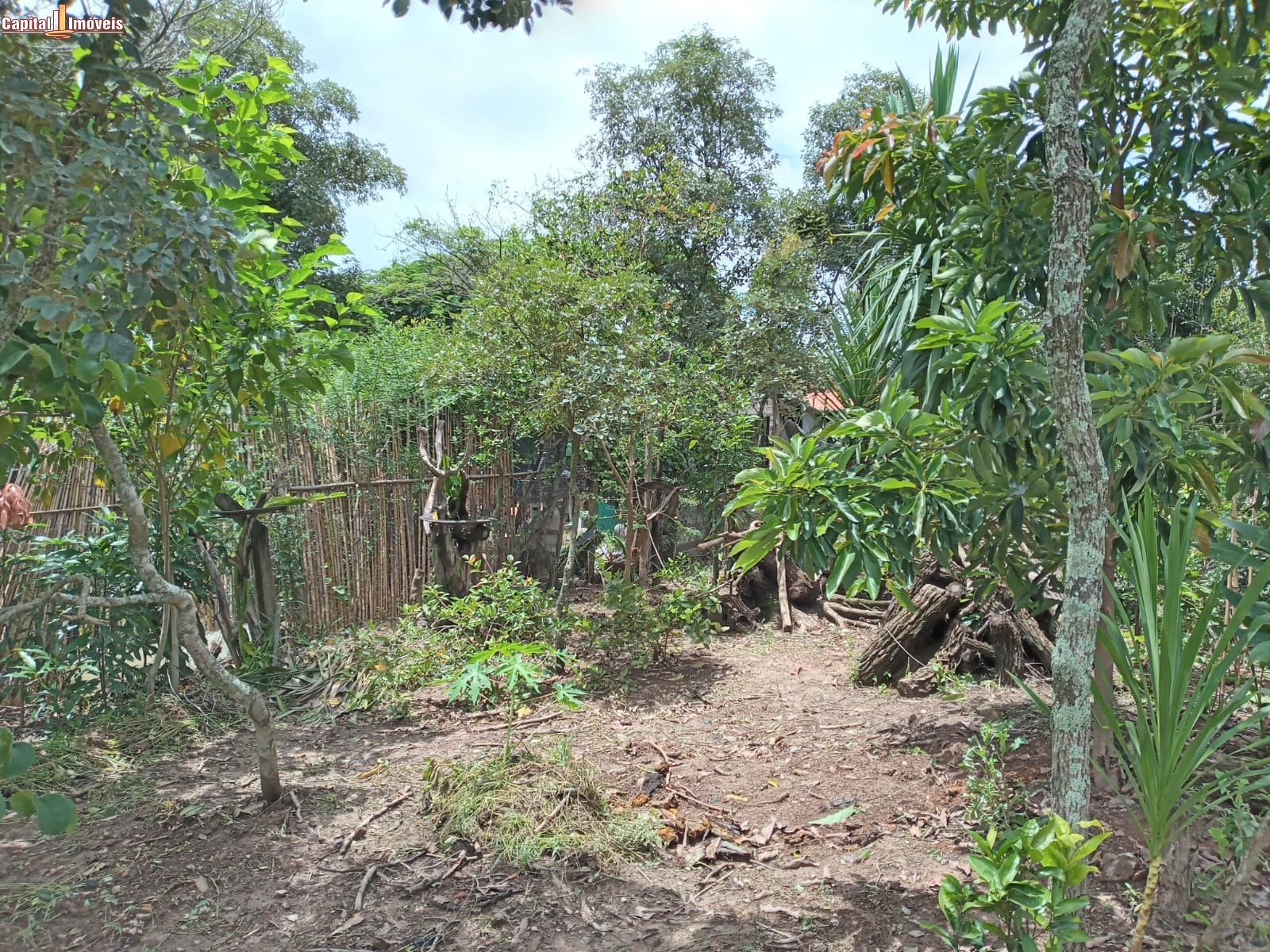 Chácara, 1 quarto - Foto 23