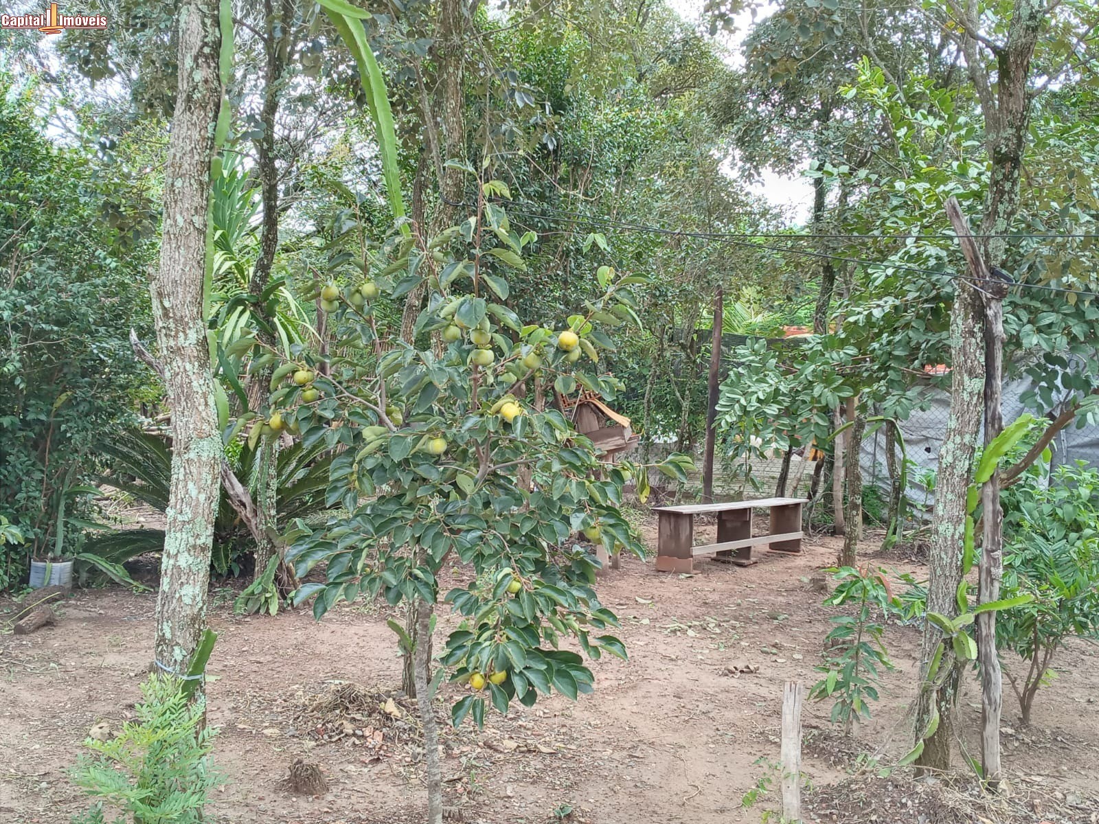 Chácara, 1 quarto - Foto 21
