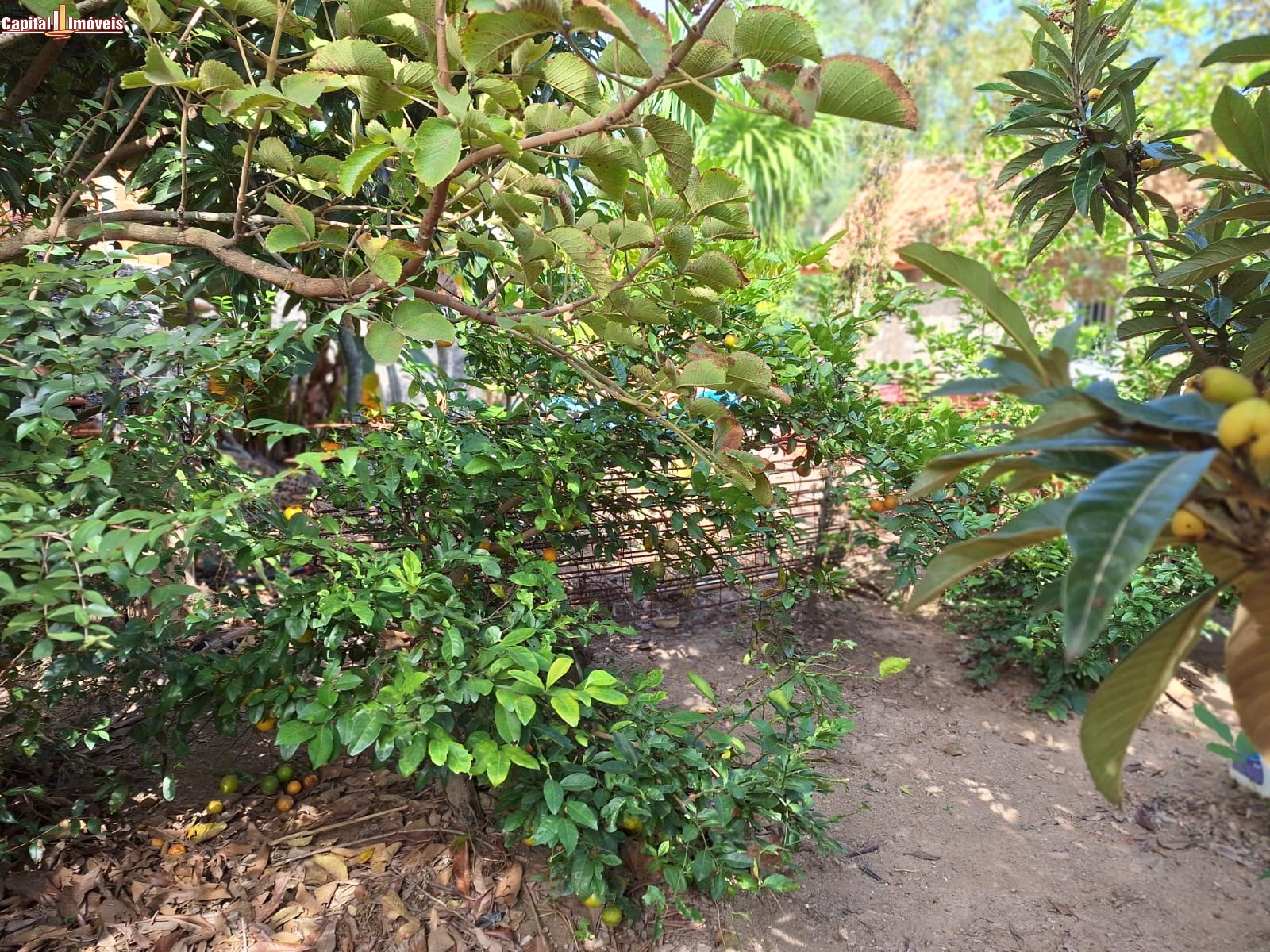 Chácara, 1 quarto - Foto 28