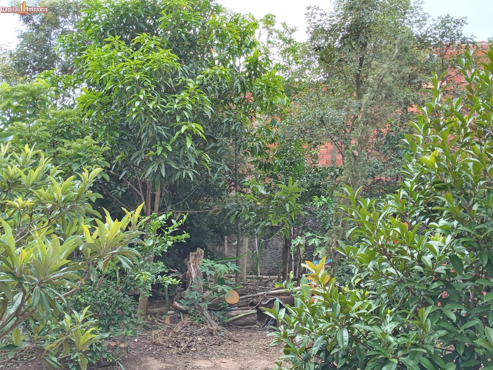 Chácara, 1 quarto - Foto 26