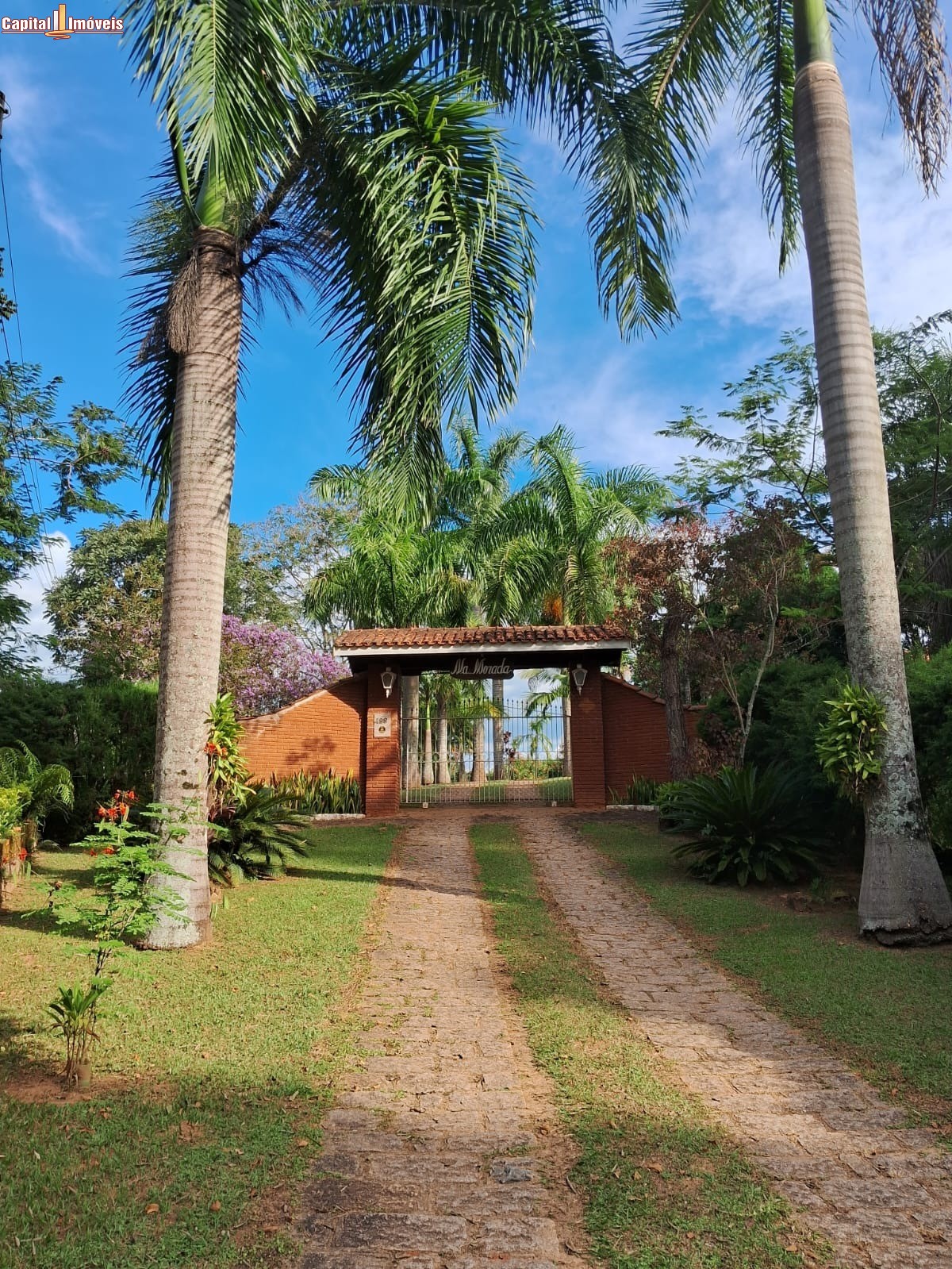 Chácara, 3 quartos, 8000 m² - Foto 8