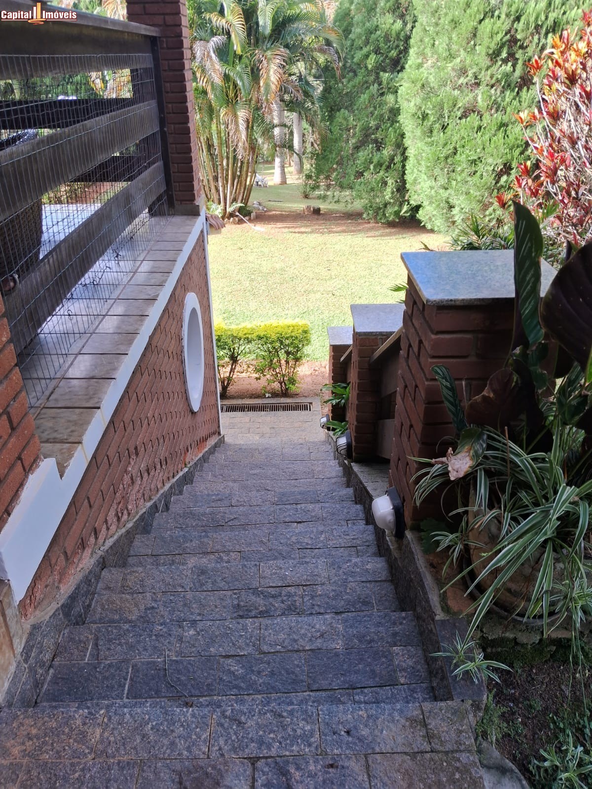 Chácara, 3 quartos, 8000 m² - Foto 13