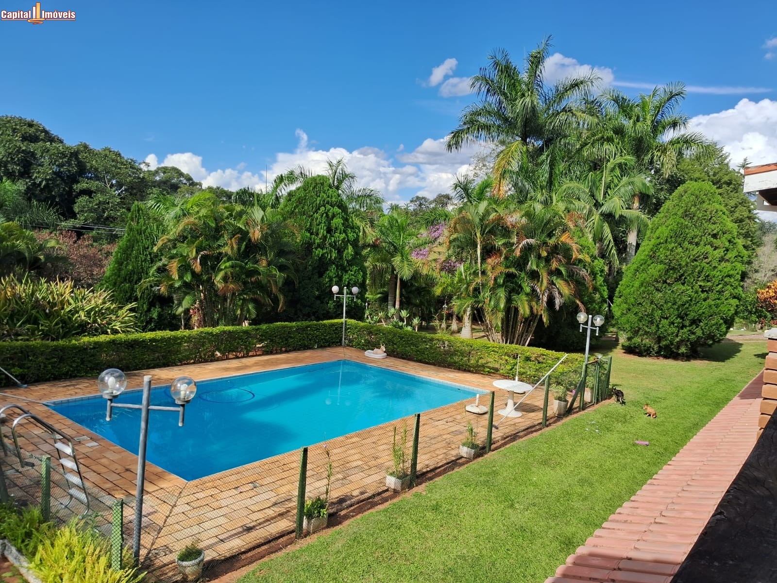 Chácara, 3 quartos, 8000 m² - Foto 15