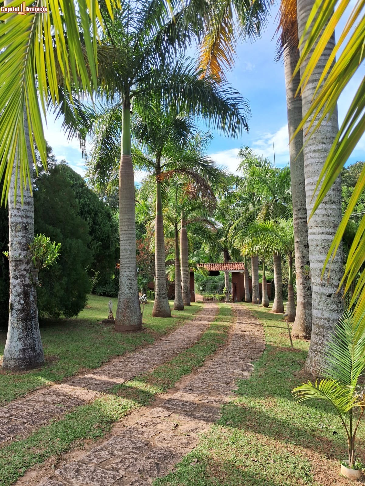 Chácara, 3 quartos, 8000 m² - Foto 2