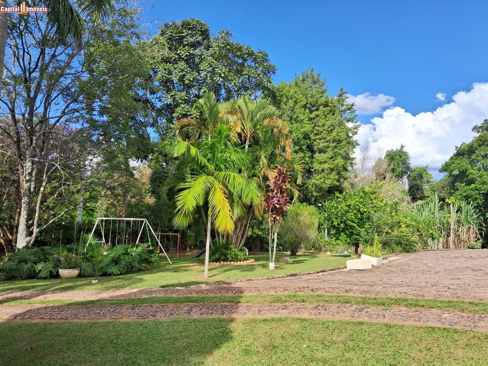 Chácara, 3 quartos, 8000 m² - Foto 25