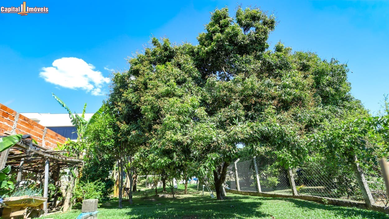 Chácara, 3 quartos, 500 m² - Foto 16