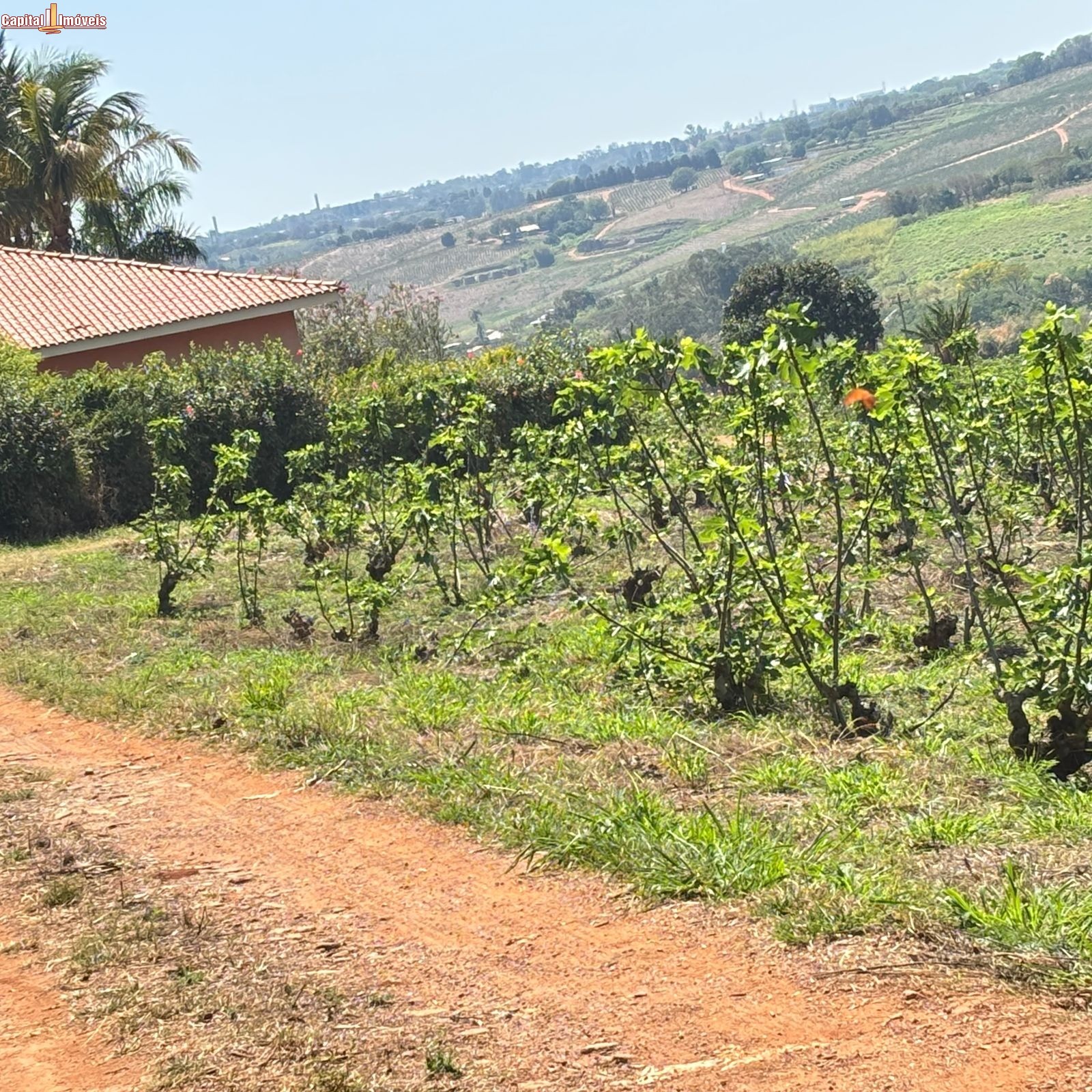 Fazenda, 5 hectares - Foto 3
