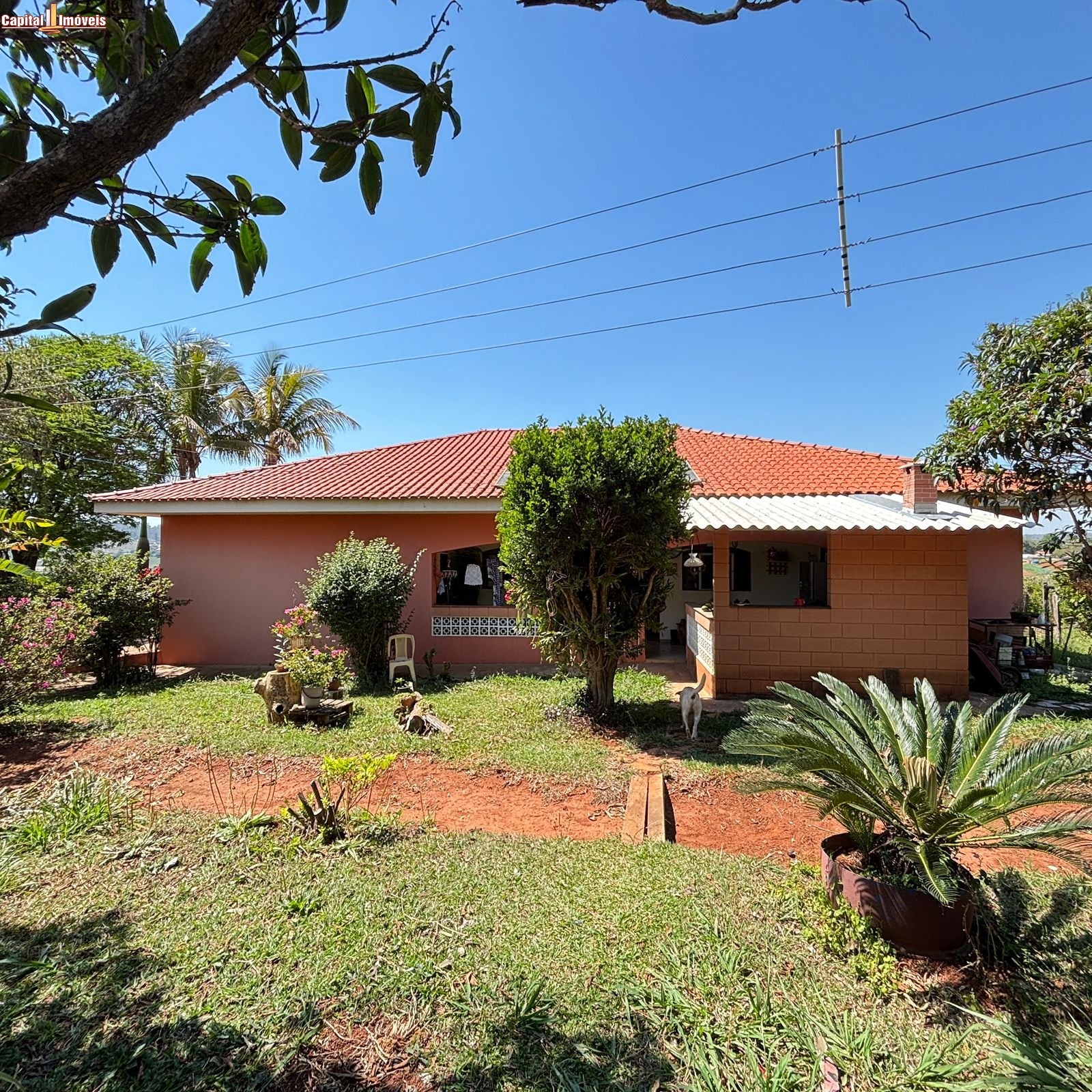 Fazenda, 5 hectares - Foto 10
