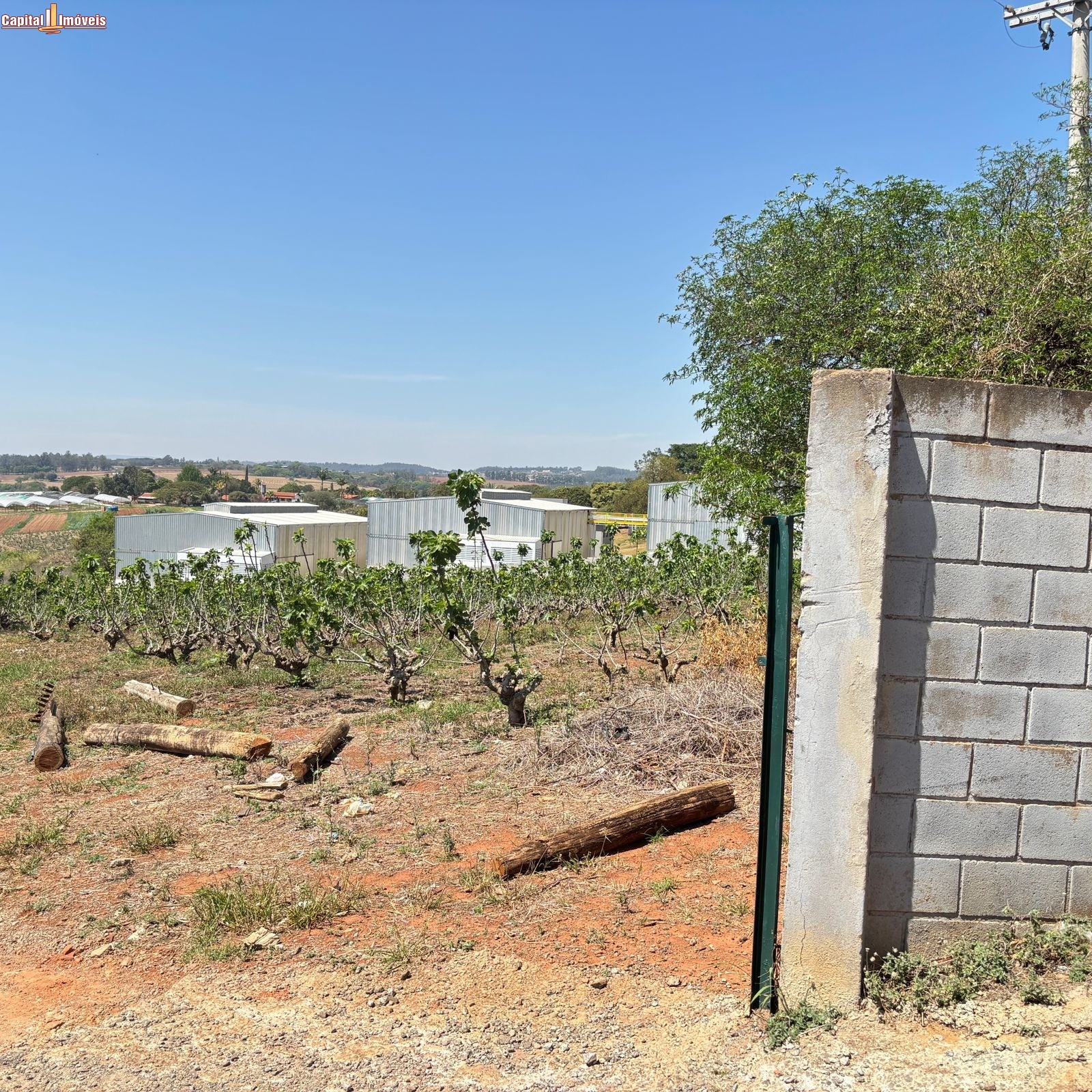 Fazenda, 5 hectares - Foto 13