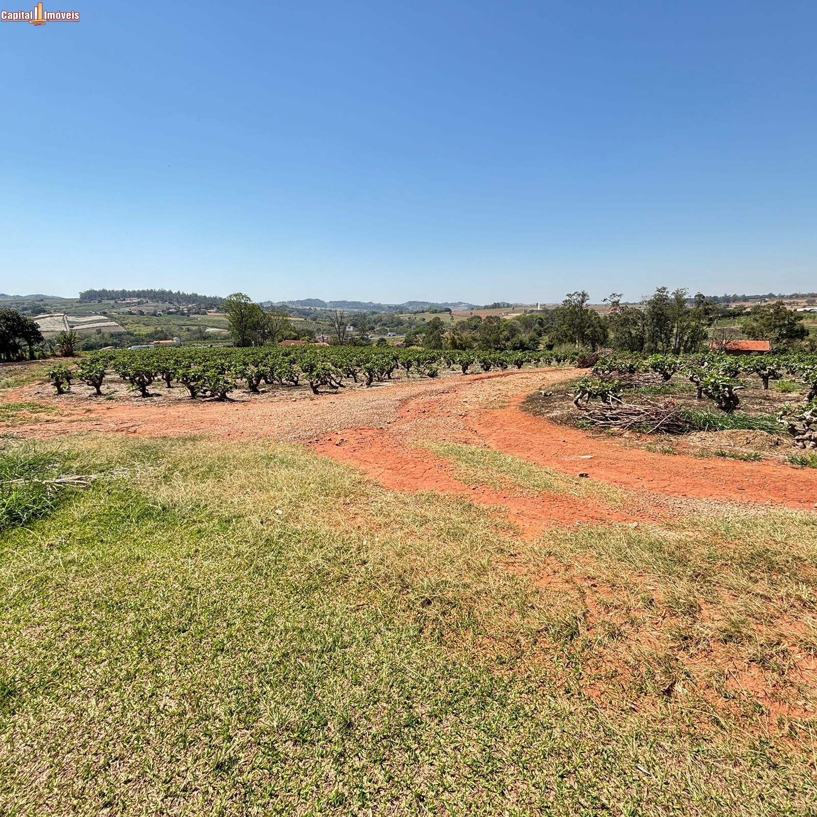 Fazenda, 5 hectares - Foto 9