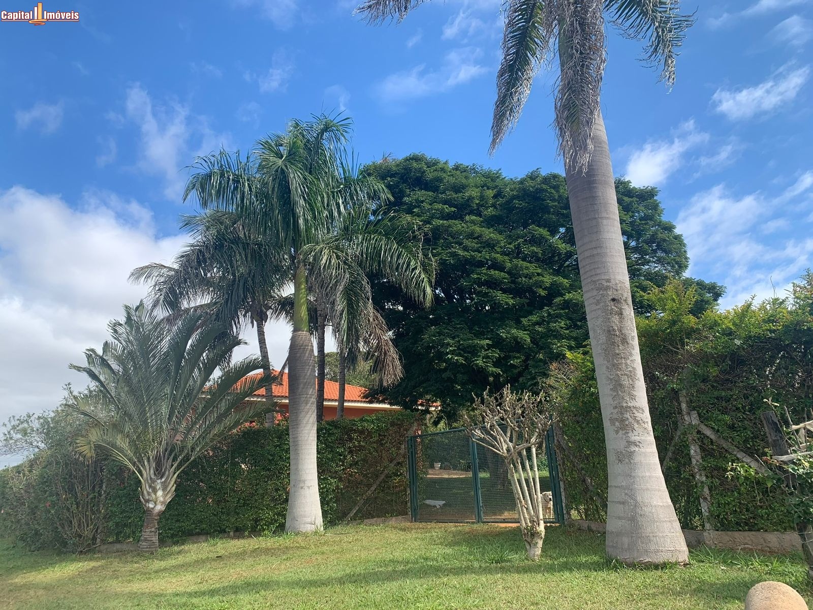 Fazenda, 5 hectares - Foto 17