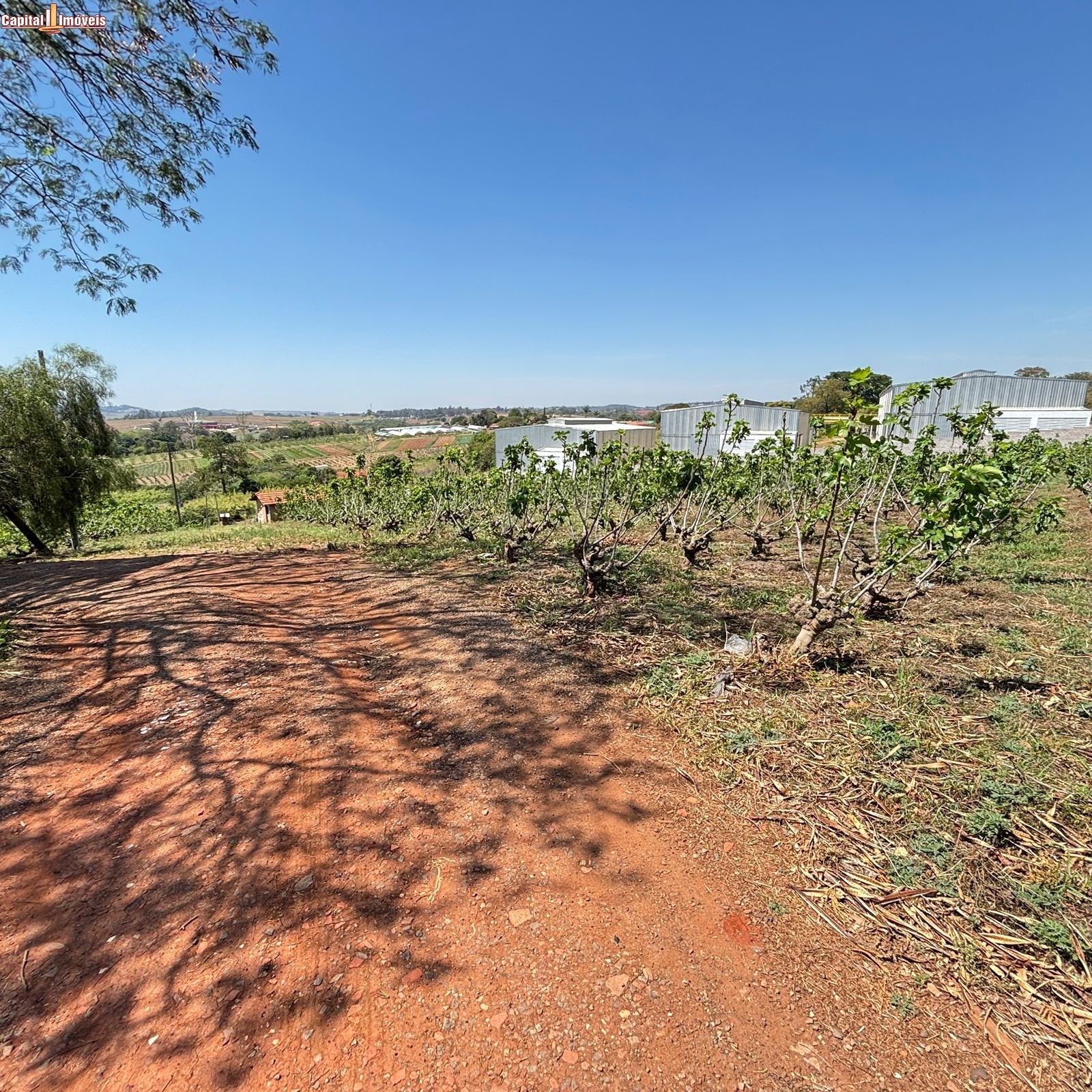 Fazenda, 5 hectares - Foto 12