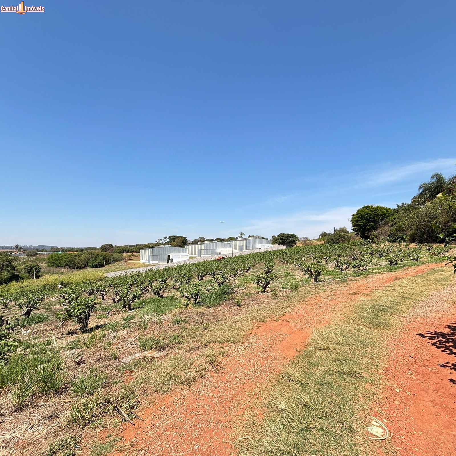 Fazenda, 5 hectares - Foto 18