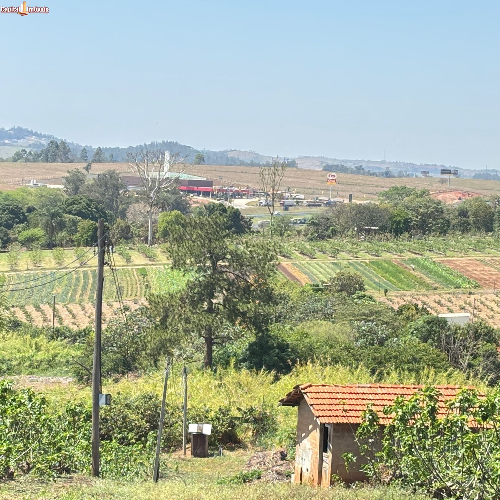 Fazenda, 5 hectares - Foto 4