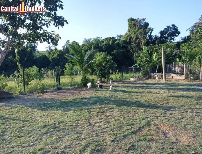 Chácara, 5 quartos, 1080 m² - Foto 11