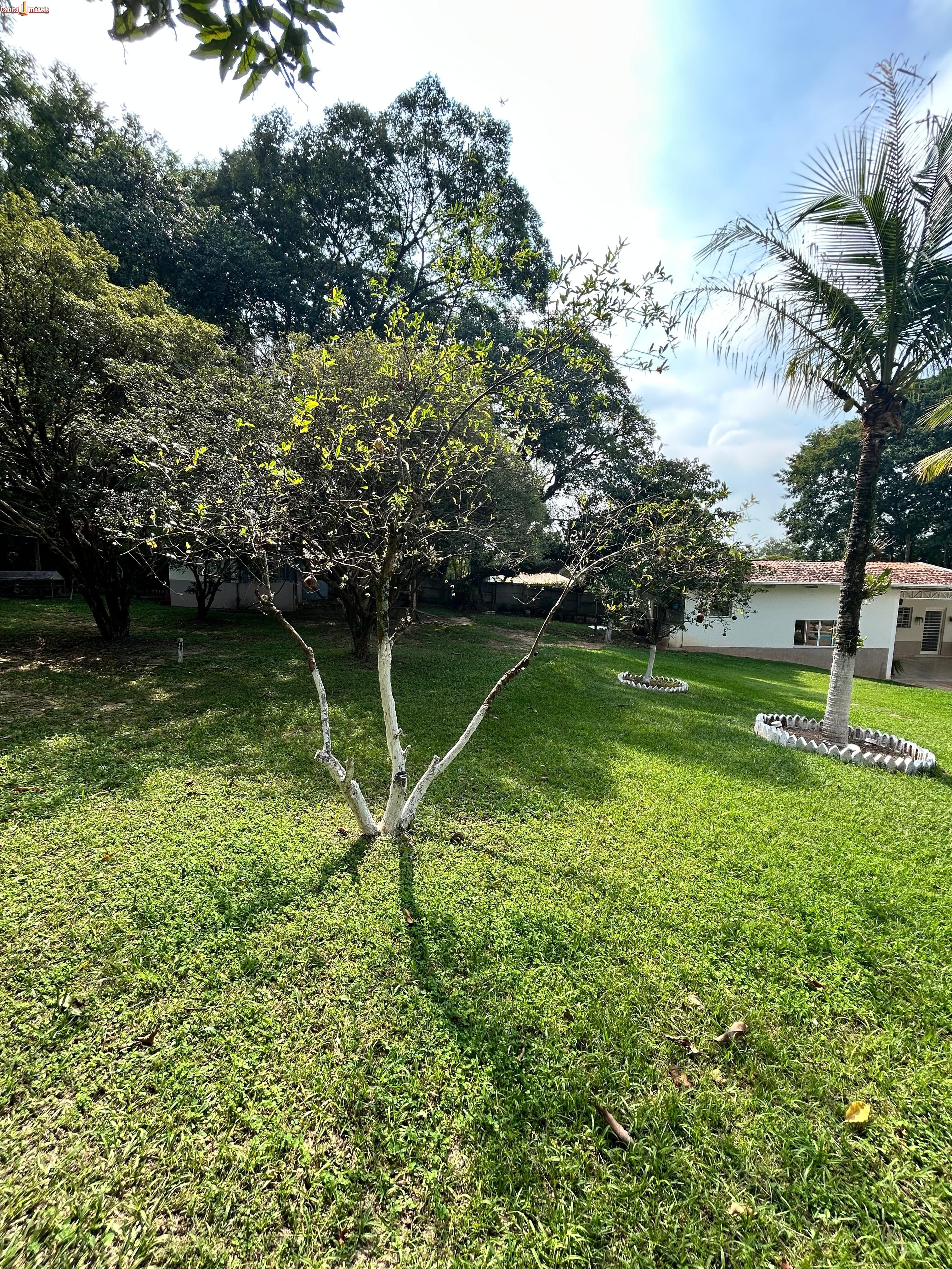 Chácara, 4 quartos, 2500 m² - Foto 57