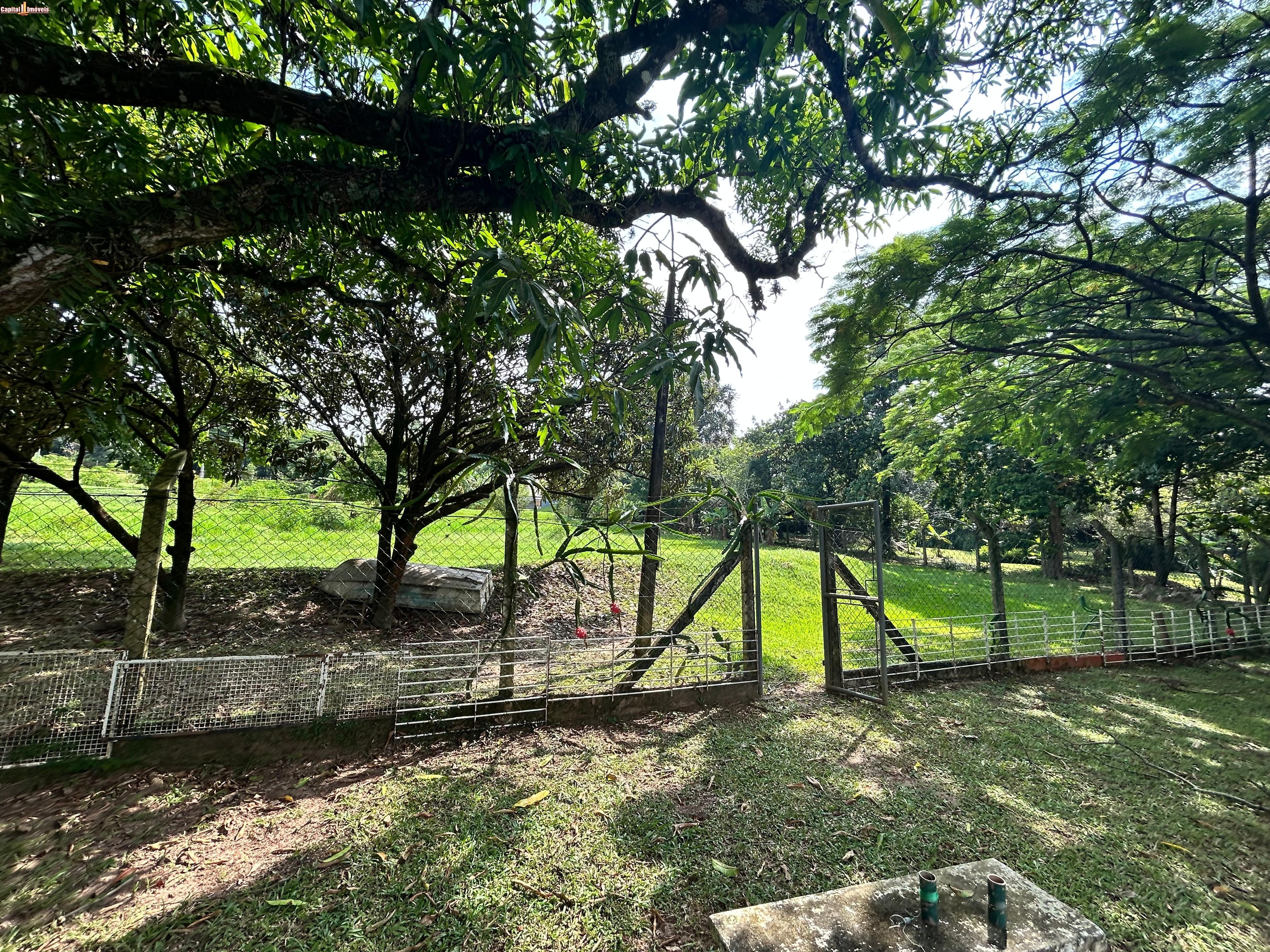 Chácara, 5300 m² - Foto 4