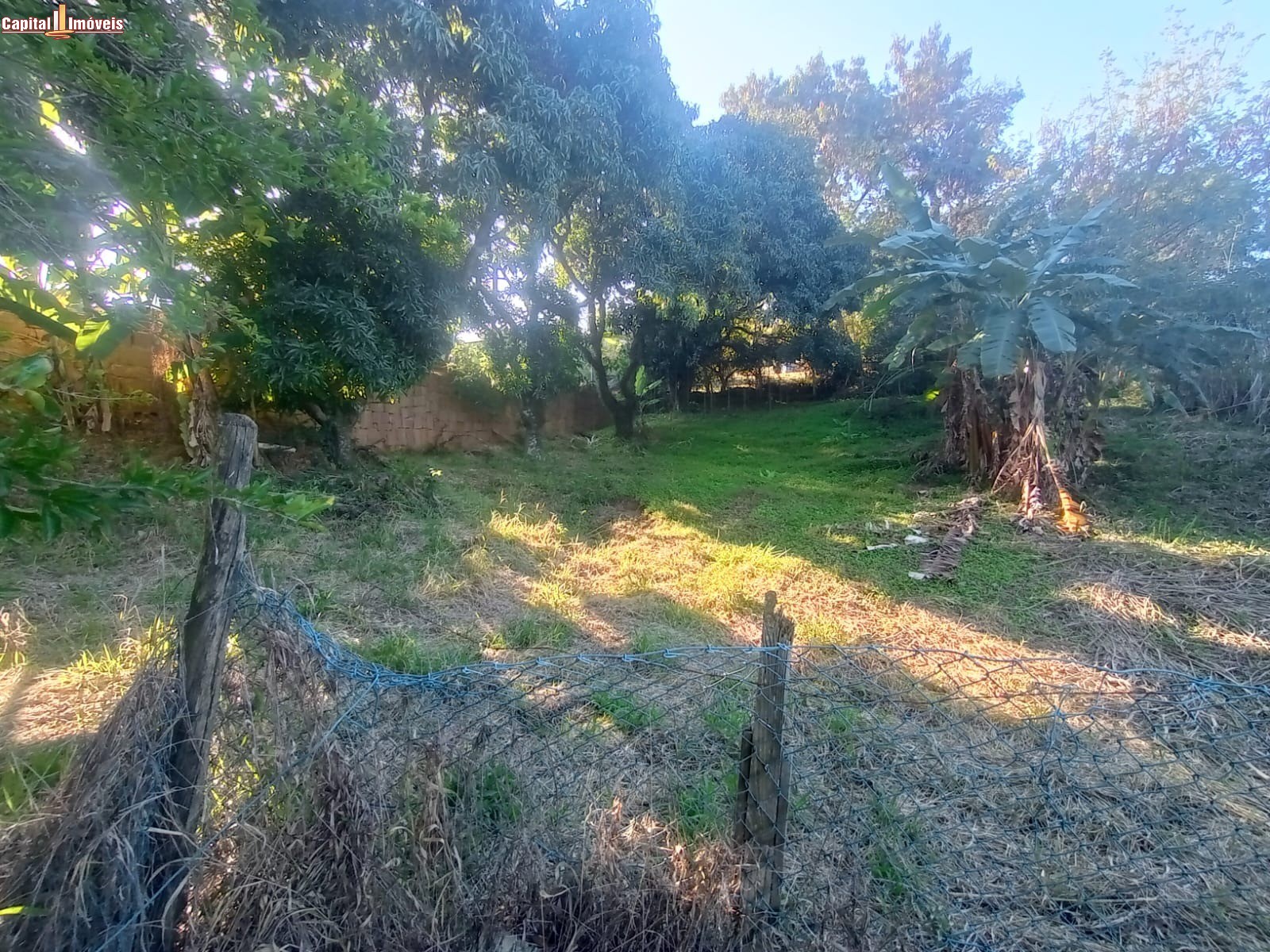 Terreno, 1890 m² - Foto 6