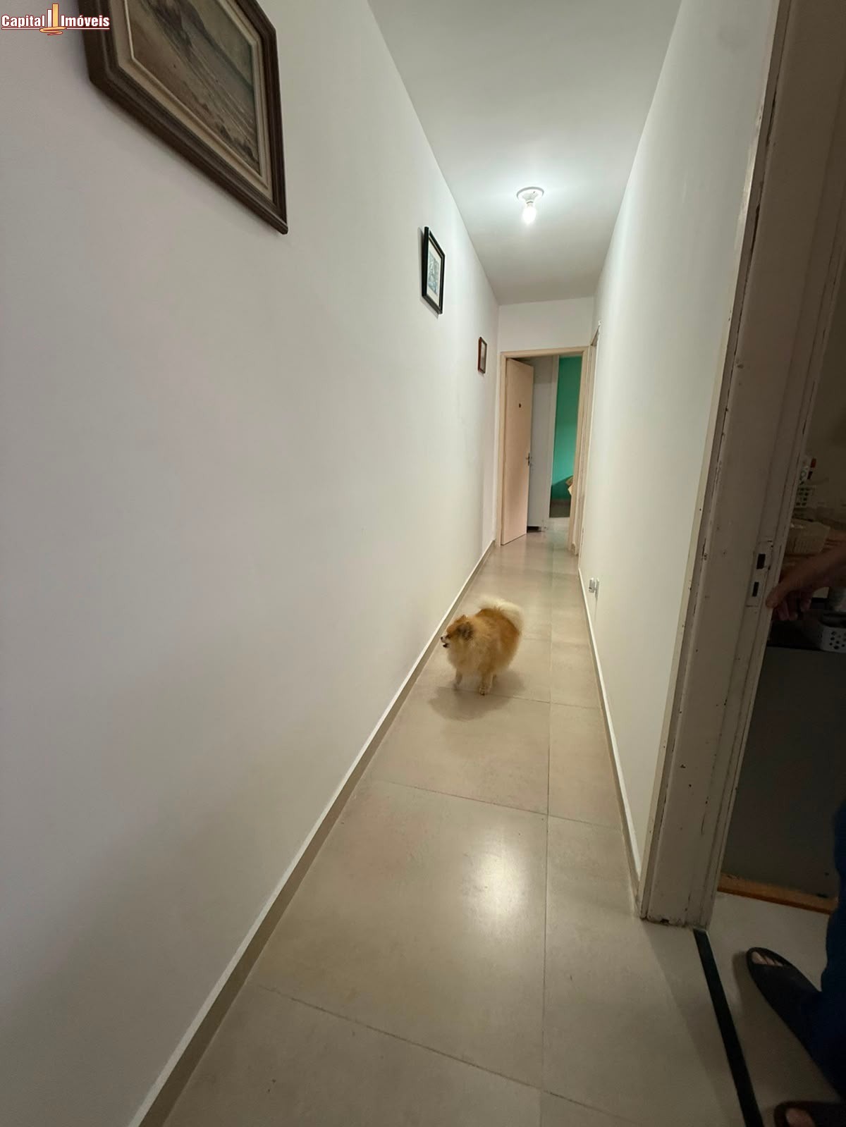 Casa, 2 quartos, 75 m² - Foto 6