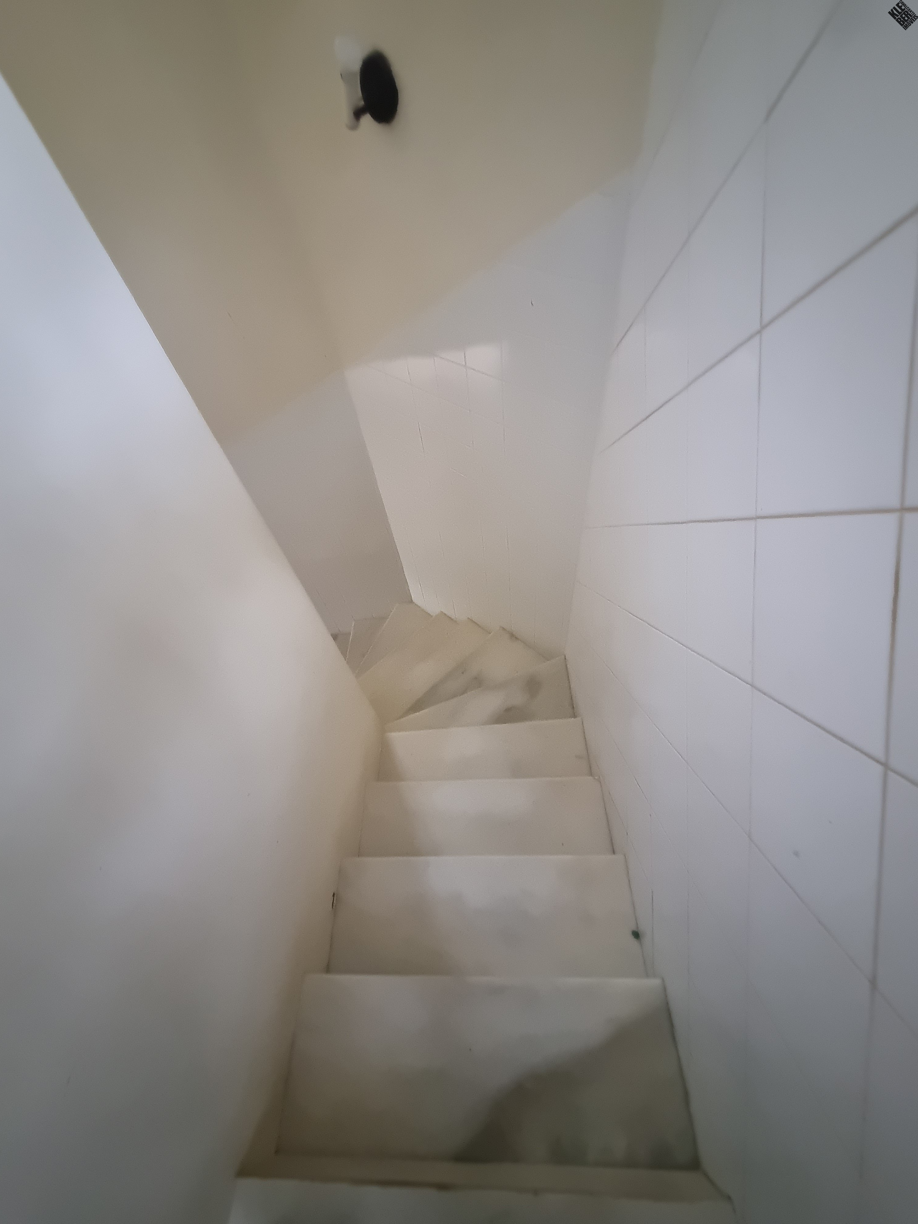Casa, 4 quartos, 280 m² - Foto 9