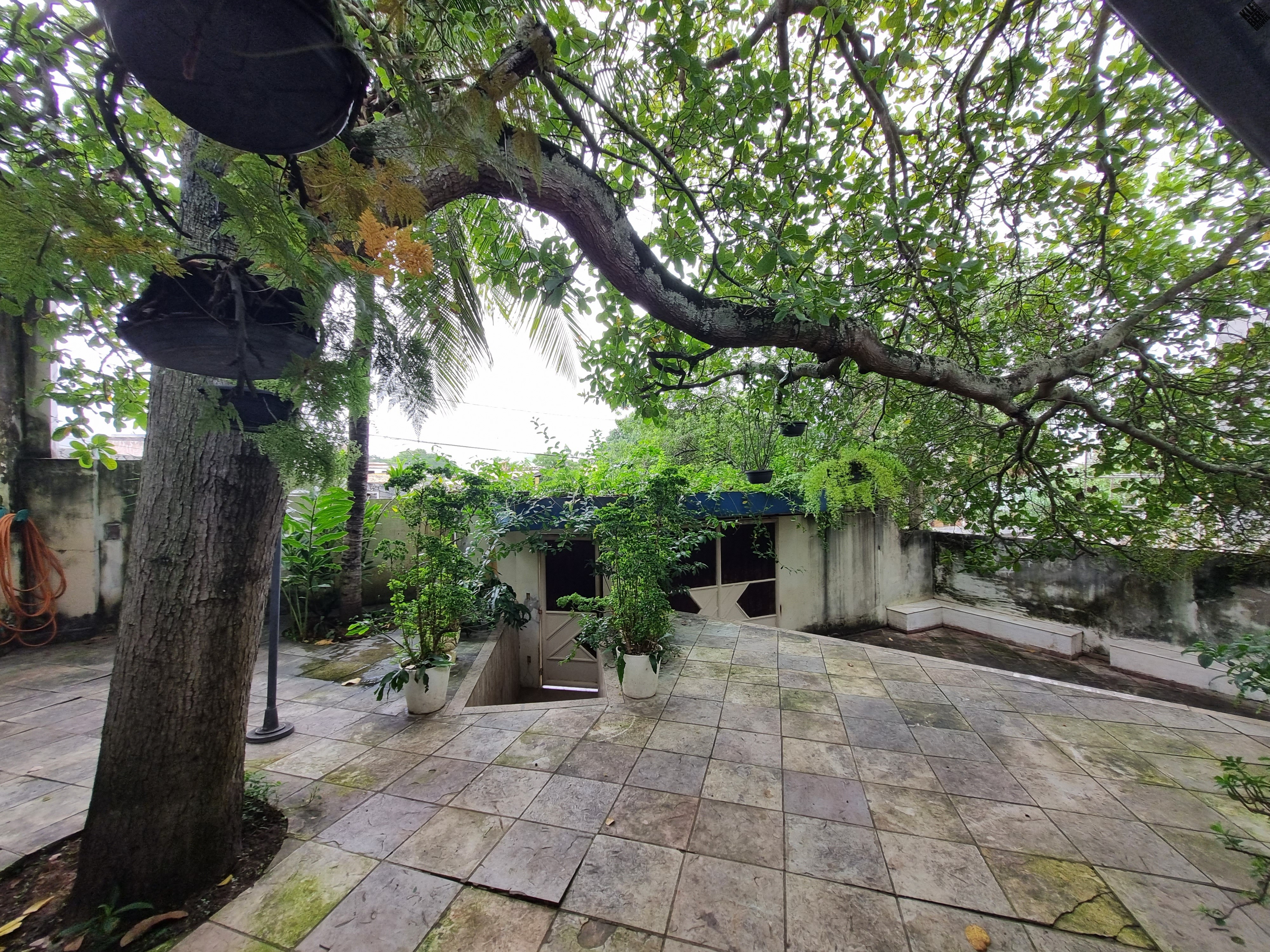 Casa, 4 quartos, 280 m² - Foto 23