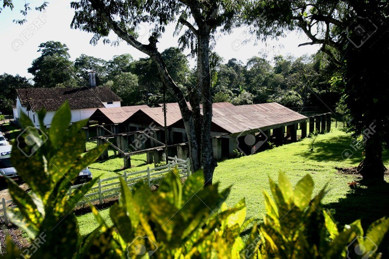 Fazenda, 245 m² - Foto 11