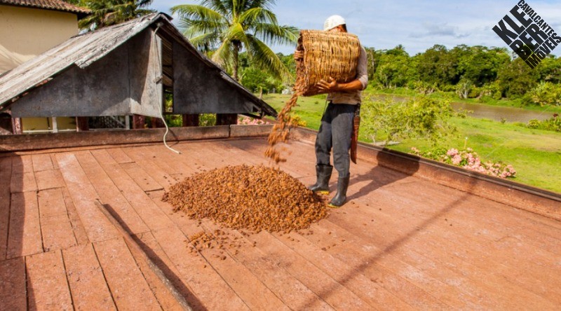 Fazenda, 245 m² - Foto 6