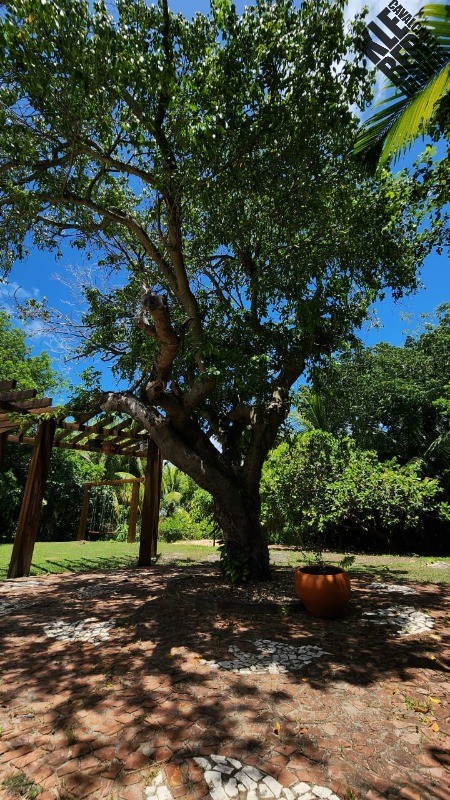 Casa, 6 quartos, 400 m² - Foto 2