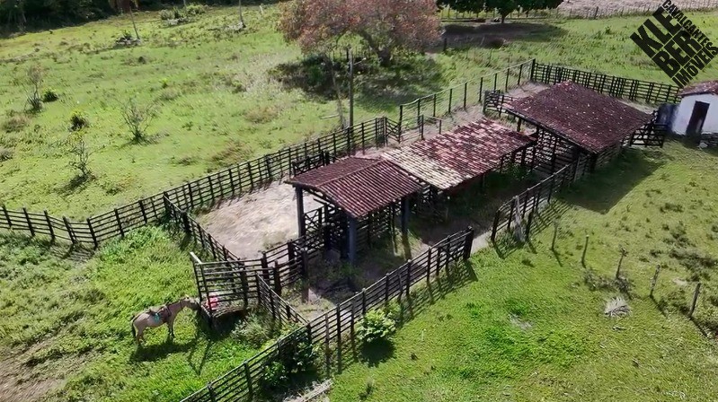 Fazenda, 8 quartos - Foto 24