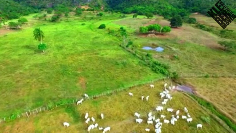 Fazenda, 8 quartos - Foto 17