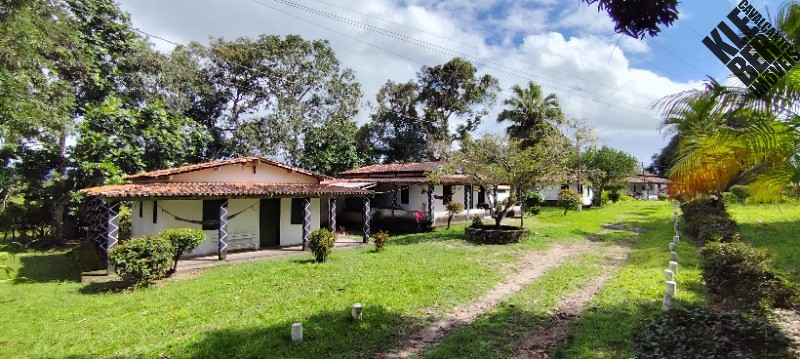Fazenda, 8 quartos - Foto 18