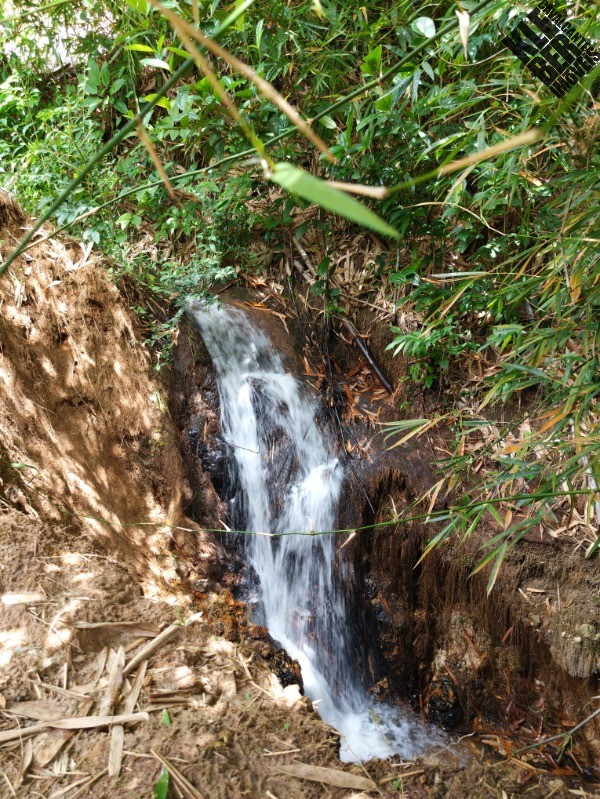 Fazenda, 8 quartos - Foto 6