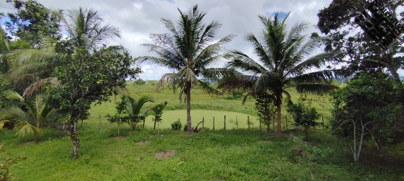 Fazenda, 8 quartos - Foto 25