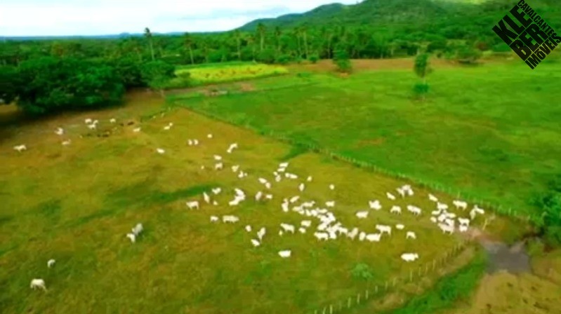 Fazenda, 8 quartos - Foto 4