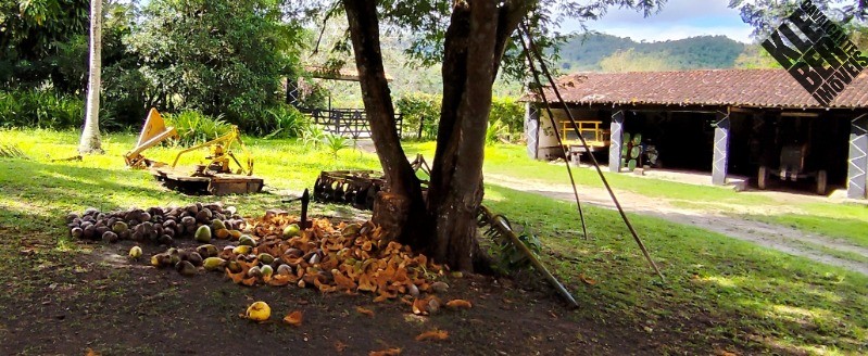 Fazenda, 8 quartos - Foto 23