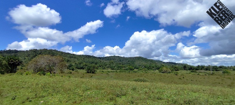 Fazenda, 8 quartos - Foto 26
