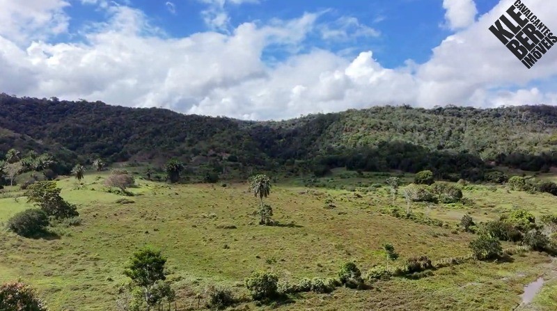 Fazenda, 8 quartos - Foto 12