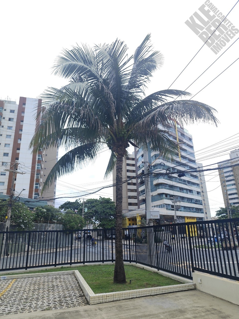 Apartamento, 2 quartos, 57 m² - Foto 33
