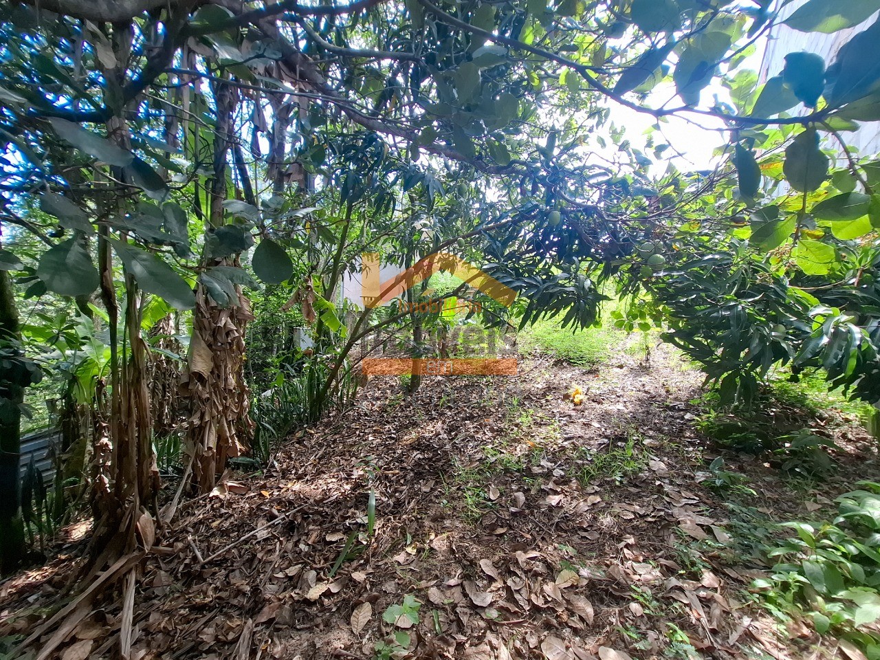 Terreno, 668 m² - Foto 9